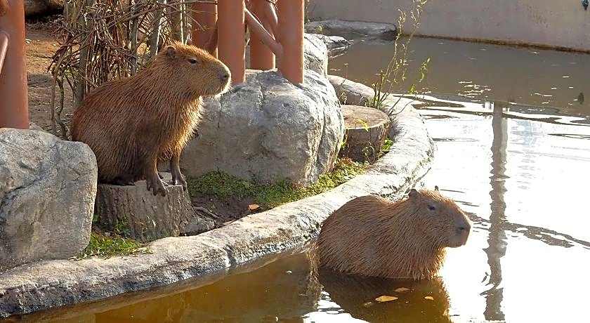 Hotel Trend Asahikawa