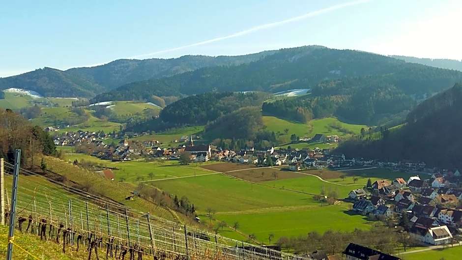 Hotel Schwarzenbergs Traube