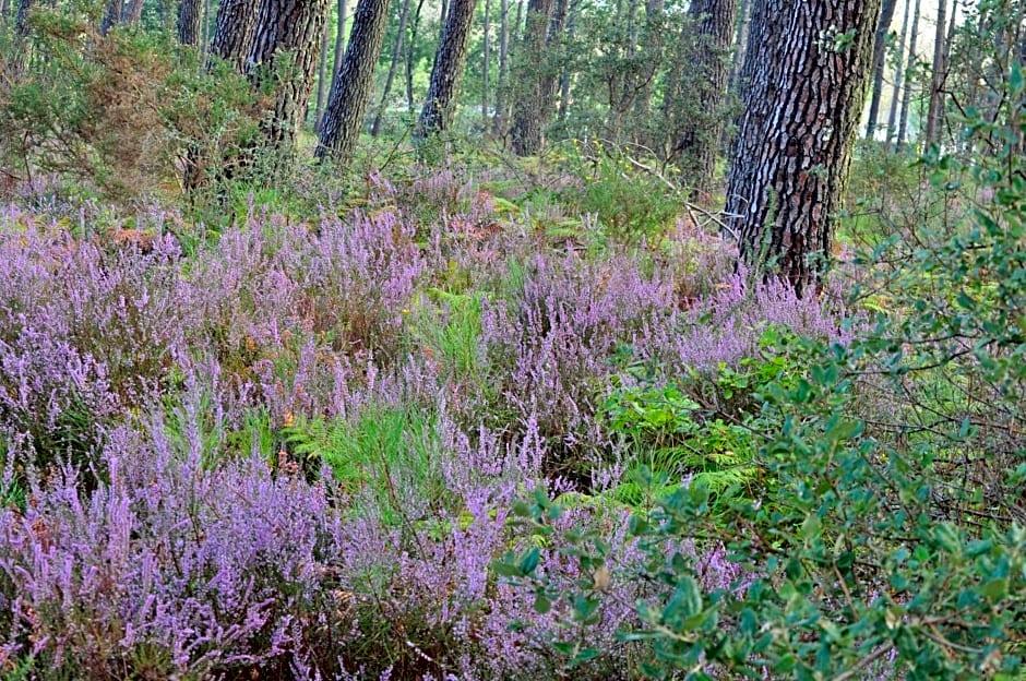 Les Hébergements Nature et Bien-être
