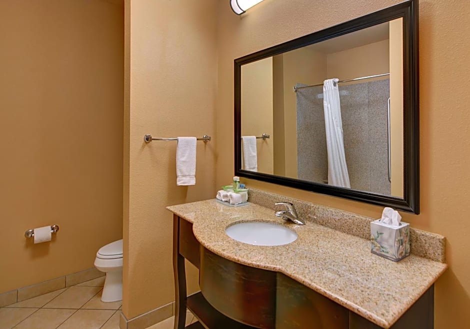 Holiday Inn Express Tyler South By IHG