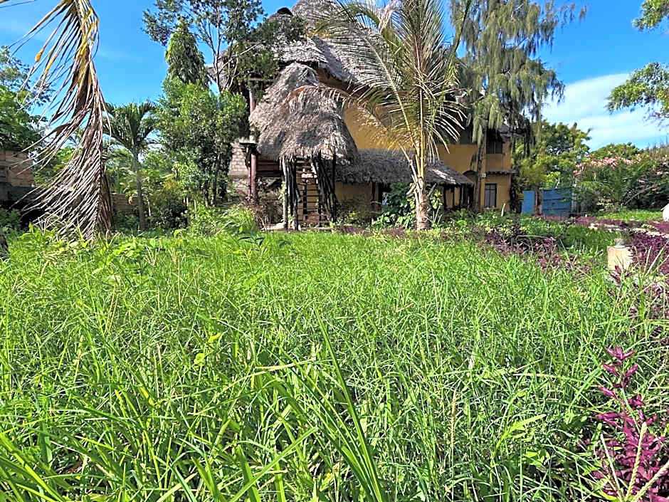 Tropinest bungalows & hostel