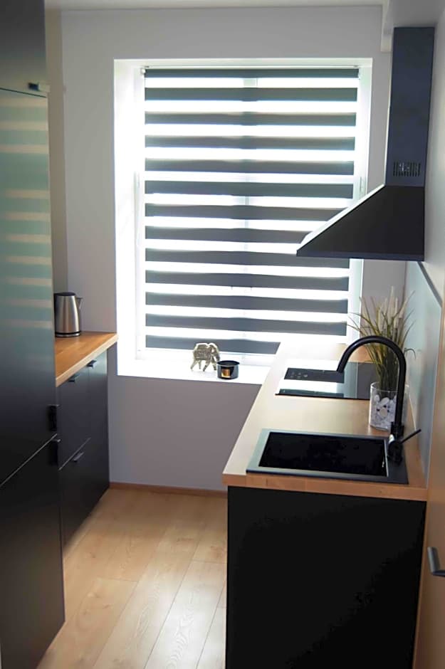 Suur-Posti Apartments