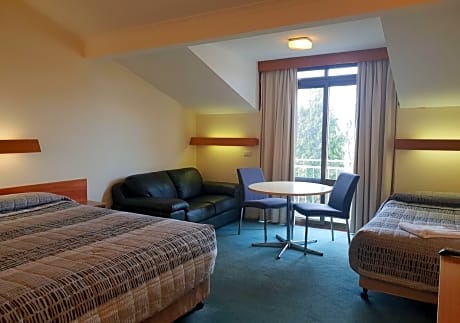 Studio Room (1 Queen Bed and 1 Twin Bed)