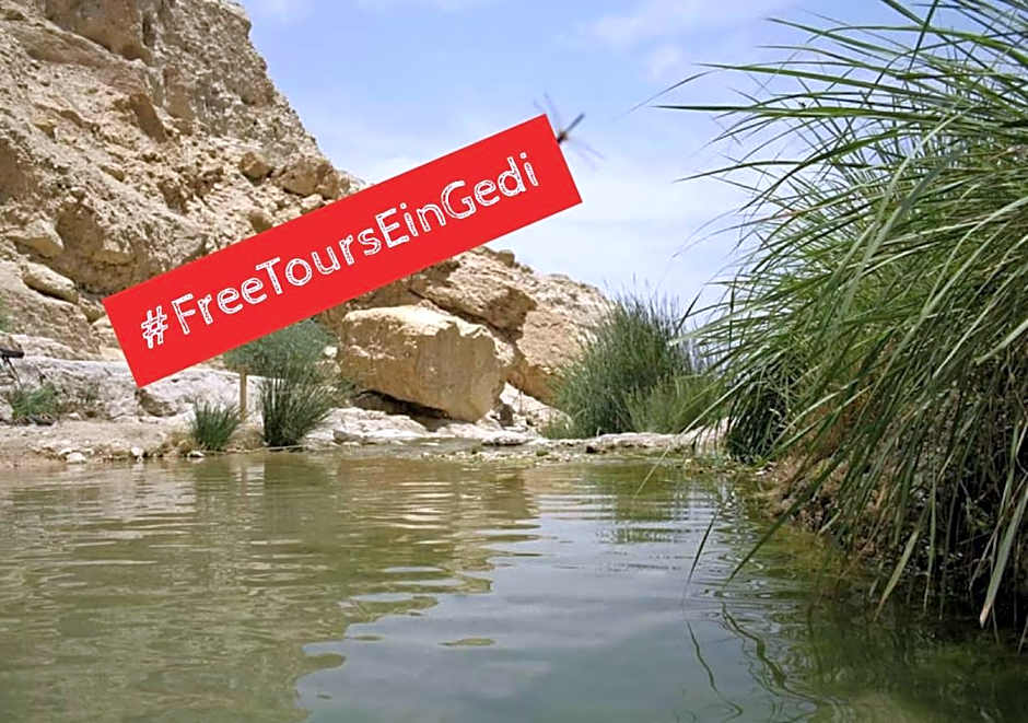 Ein Gedi Kibbutz Hotel