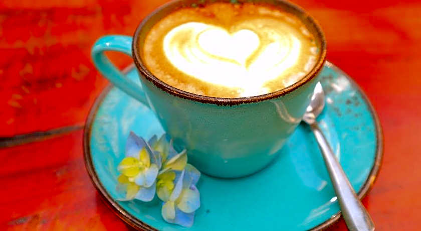 seno guesthouse and cafe