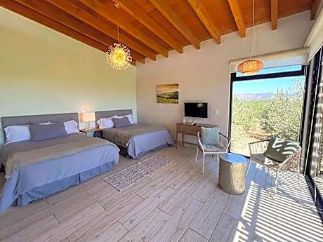 Double or Twin Room with Terrace