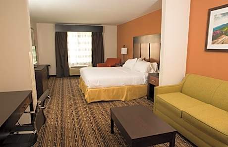 King Suite with Sofa Bed - Non-Smoking