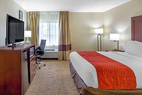 Queen Room with Roll-In Shower - Accessible/Non-Smoking