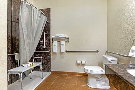 Accessible - 1 King Mobility Access Roll In Shower Microwave Fridge Non-Smoking Full Breakfast