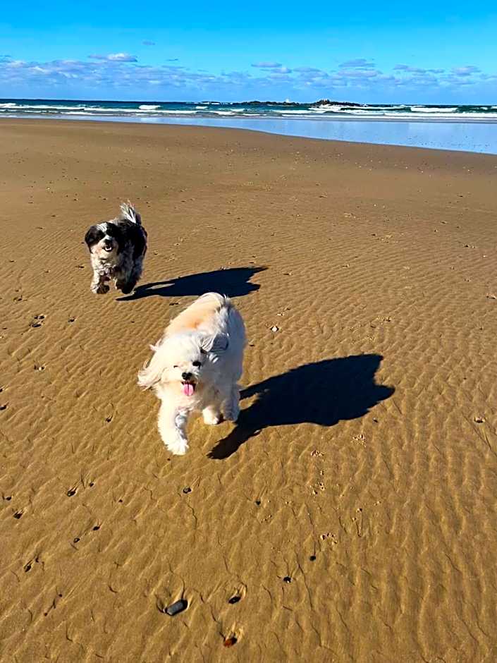 Safety Beach Bungalows