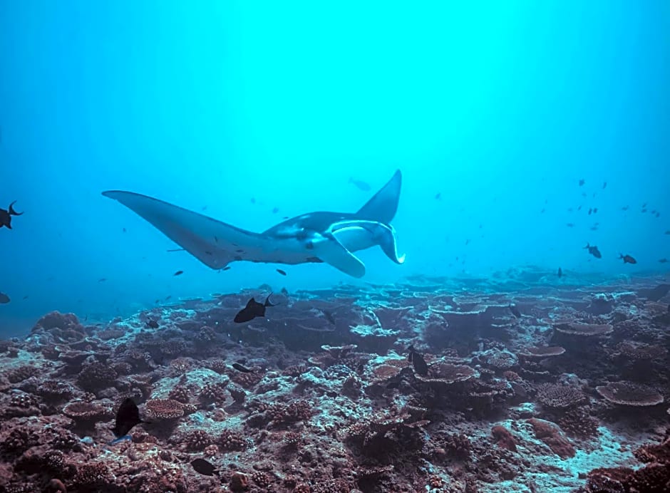 Endheri Sunset Dhangethi