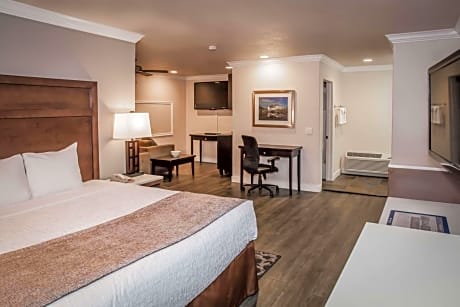 Suite-1 King Bed - Non-Smoking, Sofabed, 2 Flat Screen Tvs, Separate Sitting Area, Wet Bar, Continental Breakfast