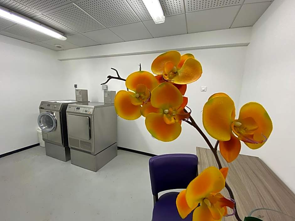 Suite Home Porticcio