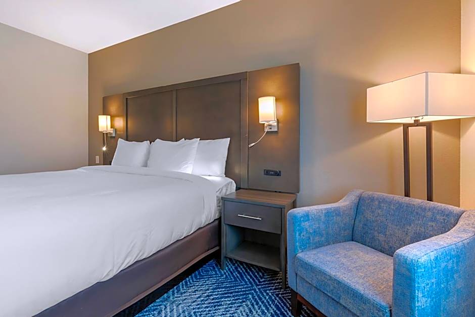 Comfort Inn & Suites Balch Springs - SE Dallas