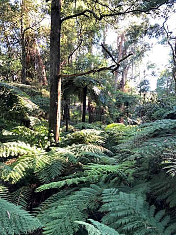 Emerald Creek Cottages