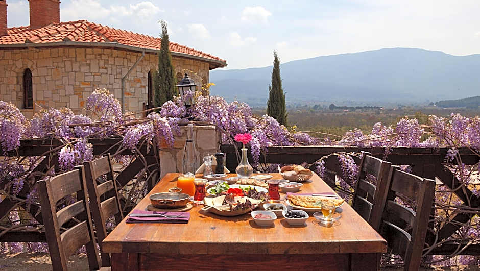 Vinifera Hotel Yedibilgeler Vineyards