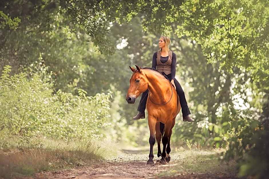 Human & Horse Hotel