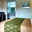 Econo Lodge Inn & Suites Forest