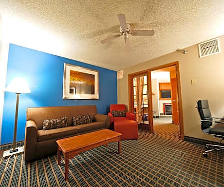 Studio King Suite with Sofa Bed and Jetted Tub - Non-Smoking