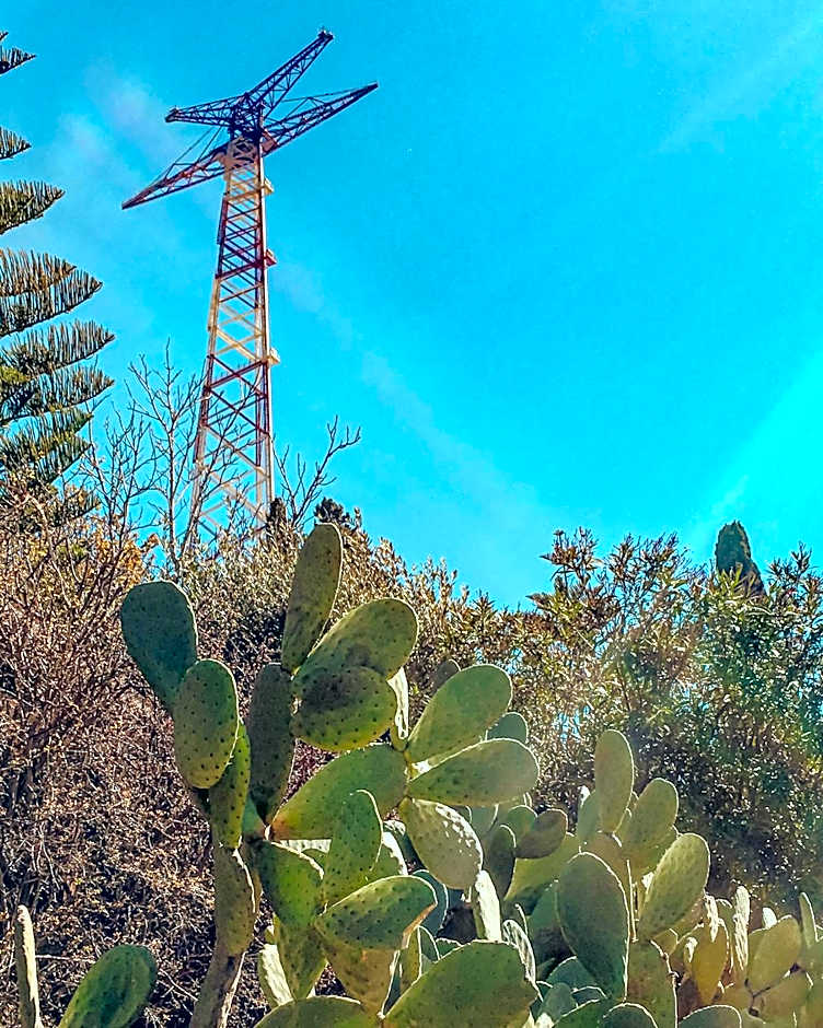 Il Ritrovo di Ulisse