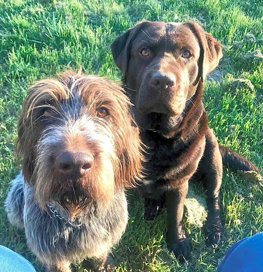 Fonsegre Chambres d'Hôtes