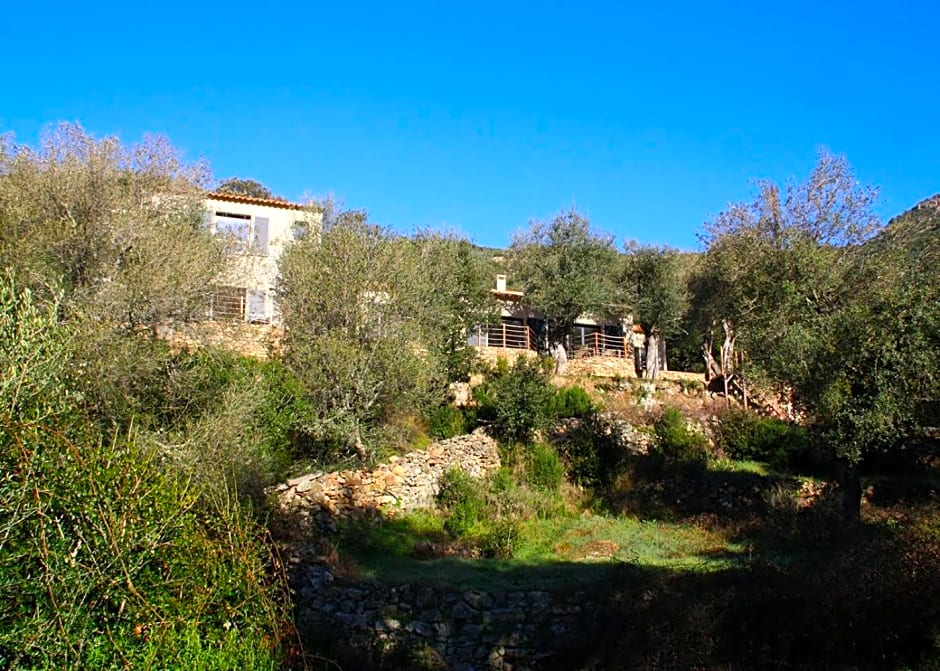 L'oliveraie du Fango