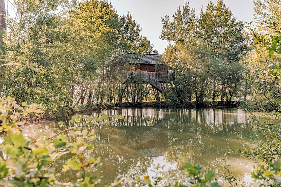 cabanes perchees dans les arbres