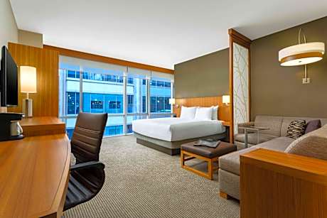 Specialty King Room with Sofa Bed and Roll-in Shower - Disability Access