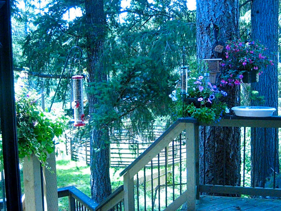 Misty Meadows B and B