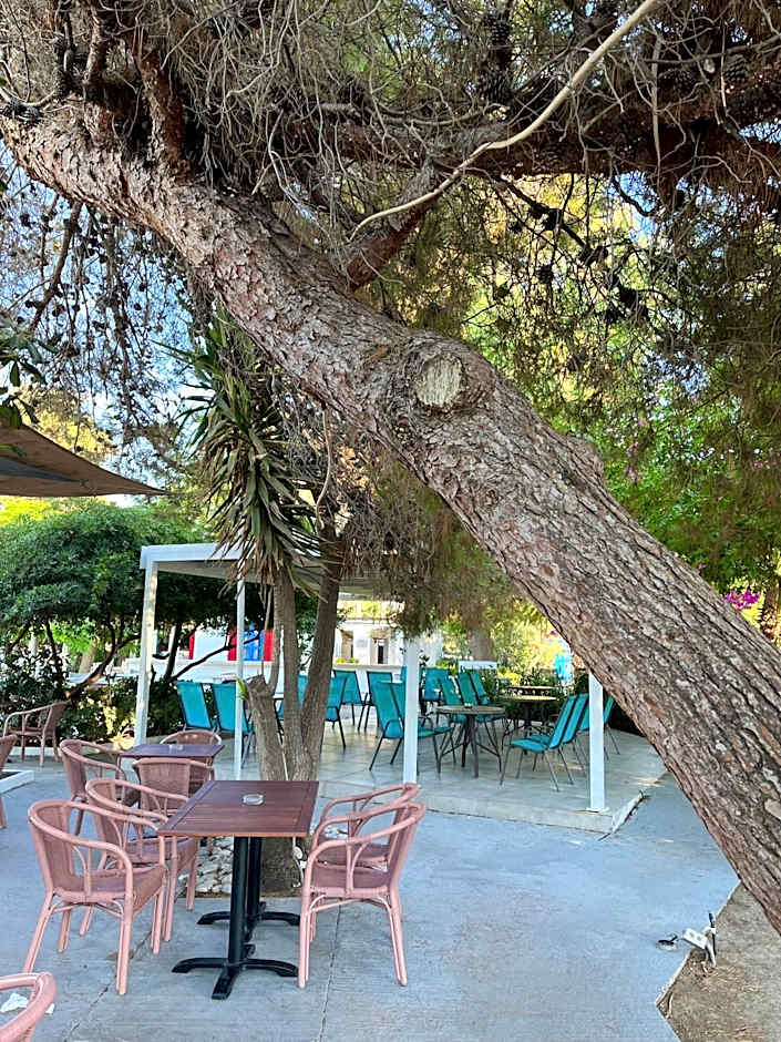 Theodorou Beach Hotel Apartments