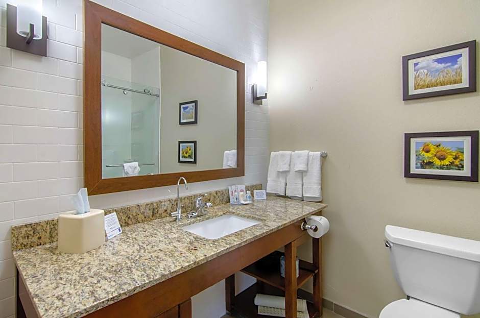 Comfort Inn & Suites Shawnee - Kansas City