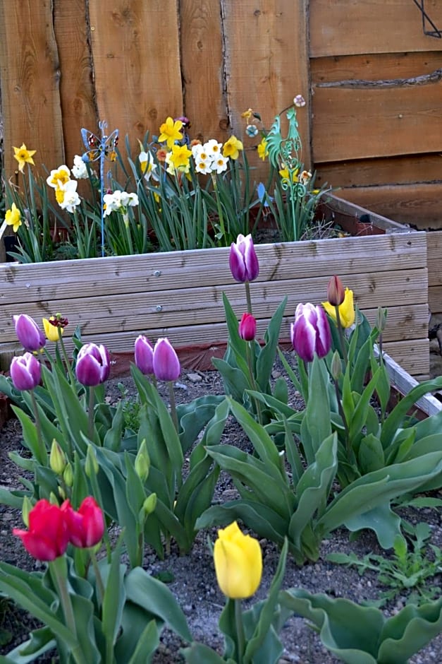 studio indépendant dans maison à la campagne