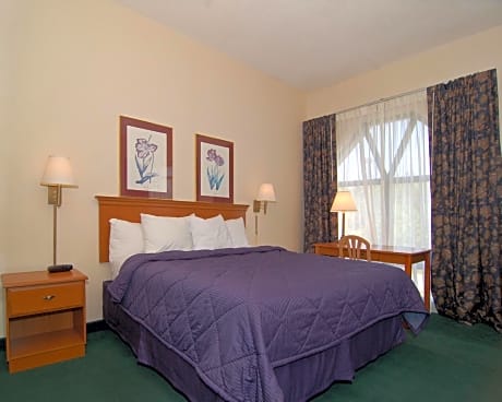 1 King Bed Nonsmoking