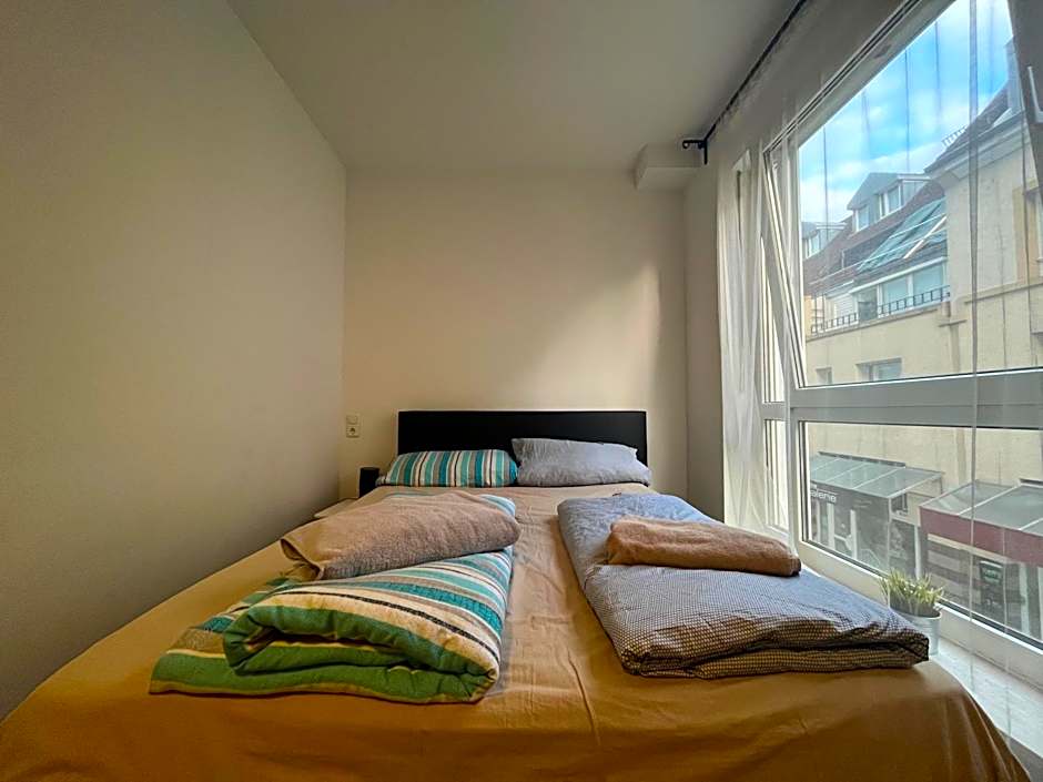 Simplex Apartments Am Ludwigsplatz