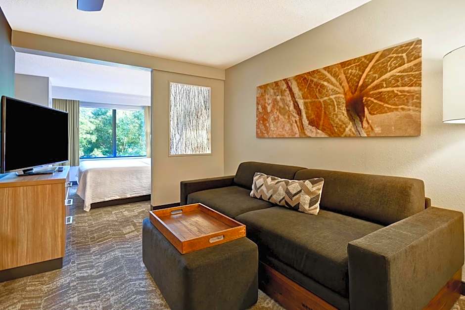 SpringHill Suites by Marriott Atlanta Kennesaw