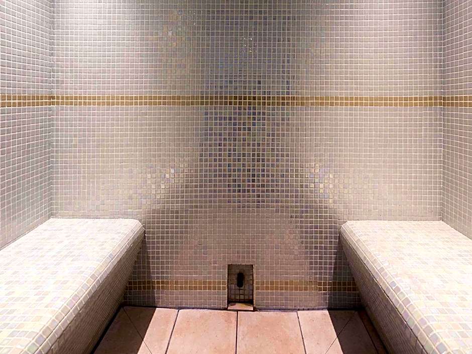 Mercure Saint Nectaire Spa & Bien-etre Hotel