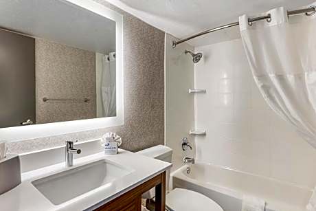 One Bedroom Suite with whirlpool 1 King