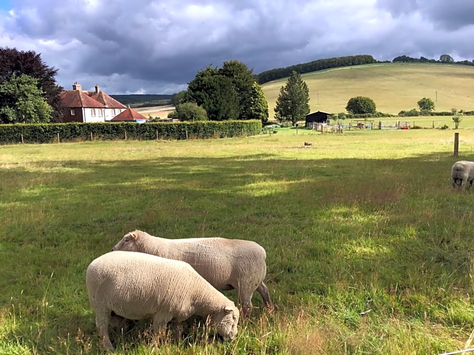 Charlton End - Goodwood Events