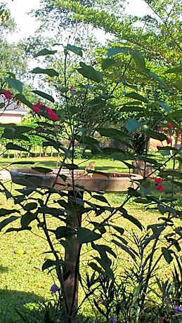 Philo Leisure Gardens