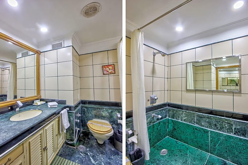 Hotel Piccadily Manali