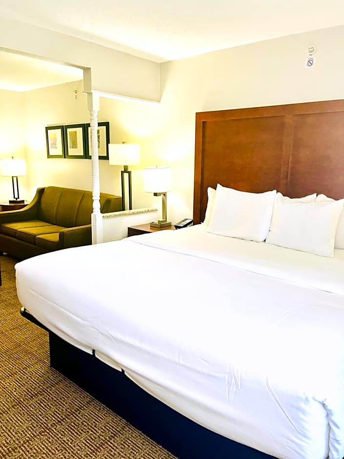 Comfort Inn & Suites Jackson North
