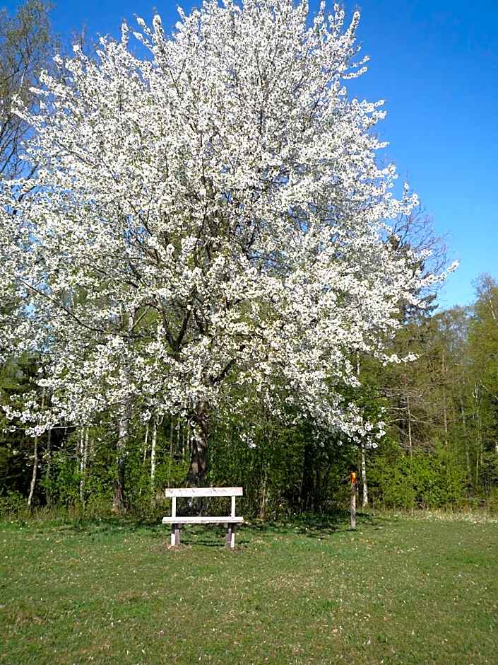 Valle vandrarhem och camping