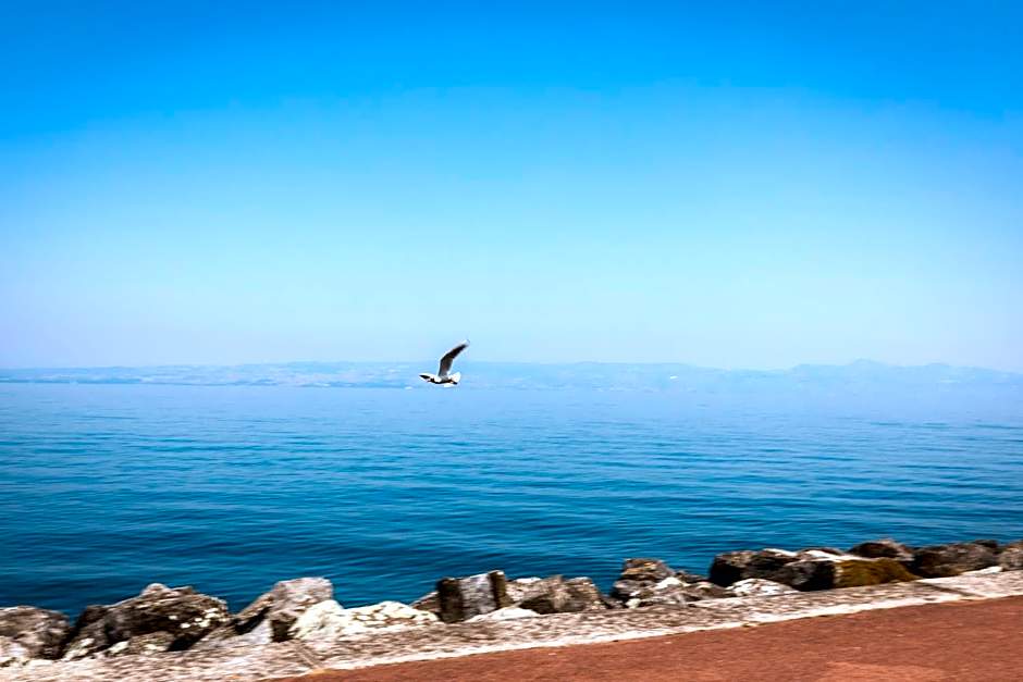 Logis Hotel Le Littoral