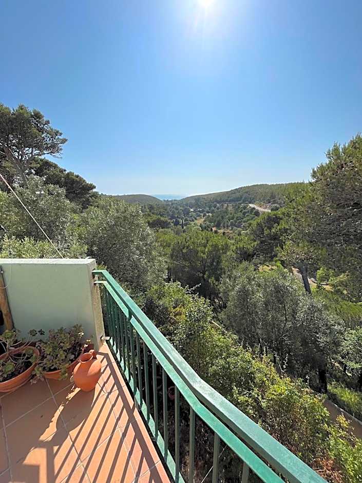 Amazigh Hostel Rooms & Dorm