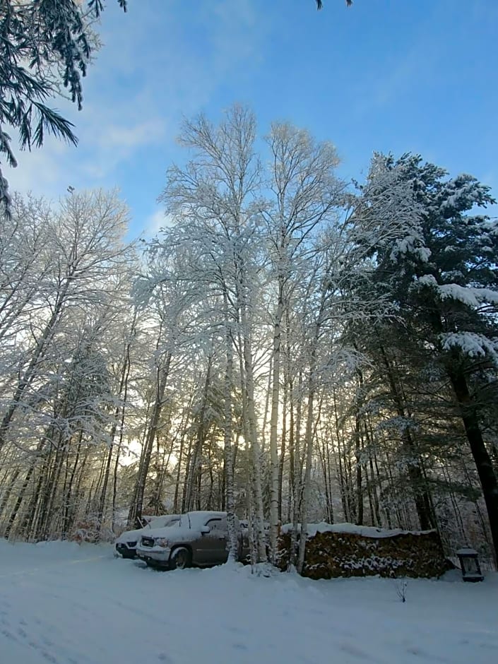 Suite in the Bush-Private Apartment