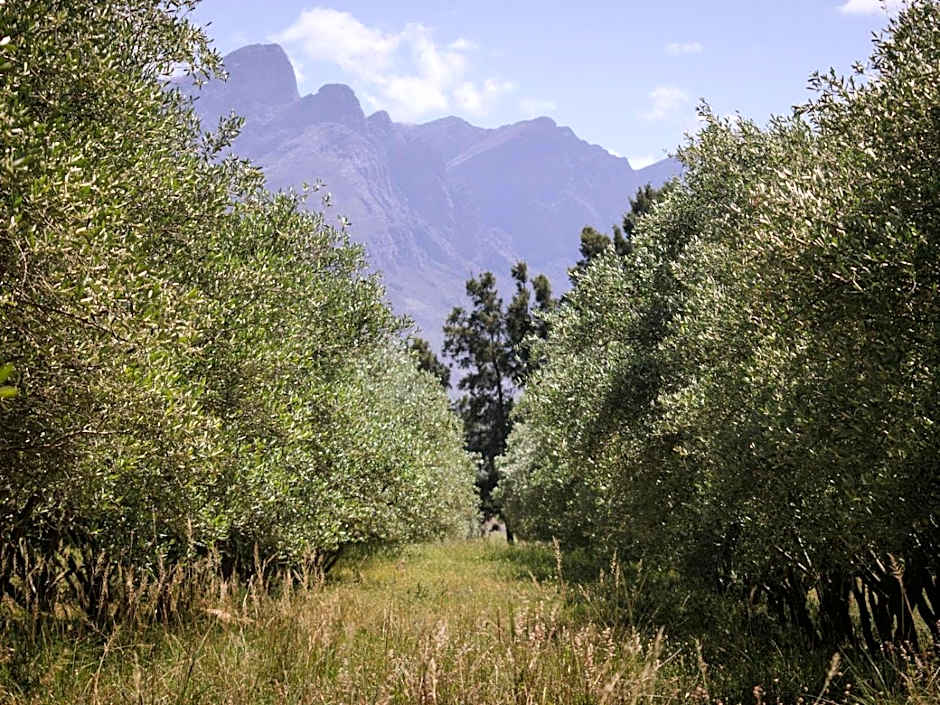 Duikersdrift Winelands Country Escape