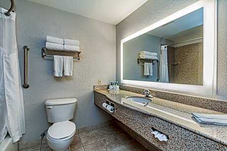 1 King Suite Comm Access