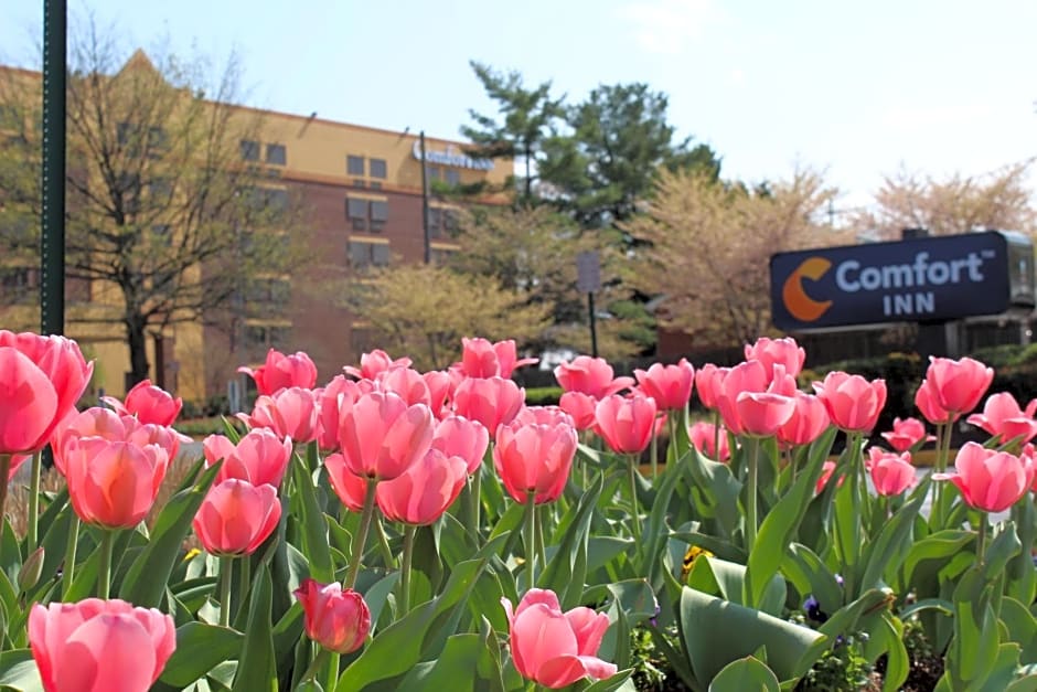 Comfort Inn University Center