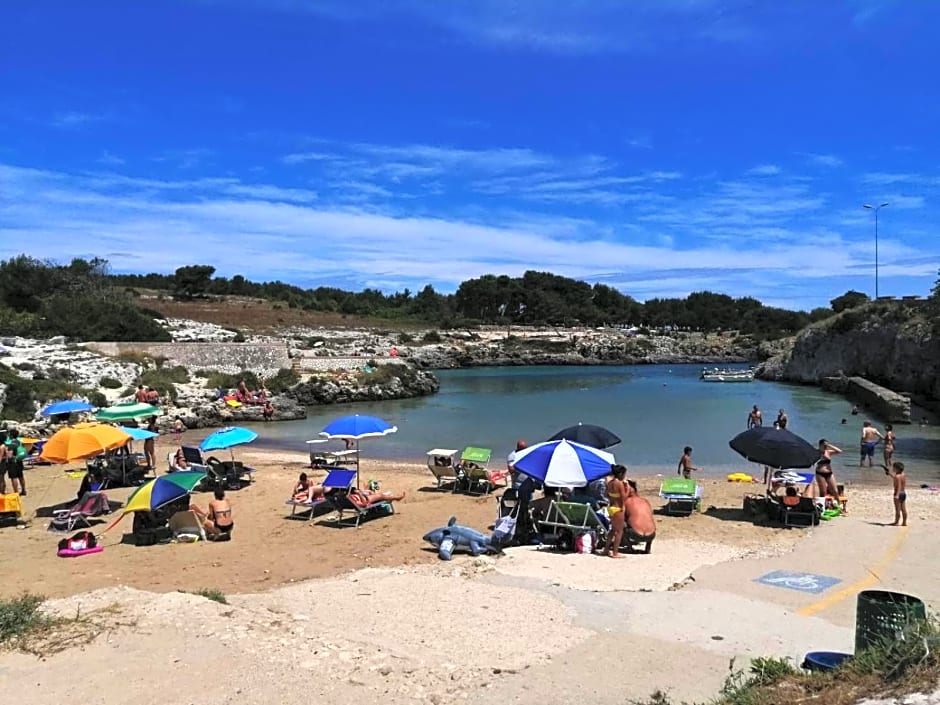 Tenuta L'Alba di monte Matino