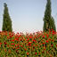 Domaine de Campras B&B